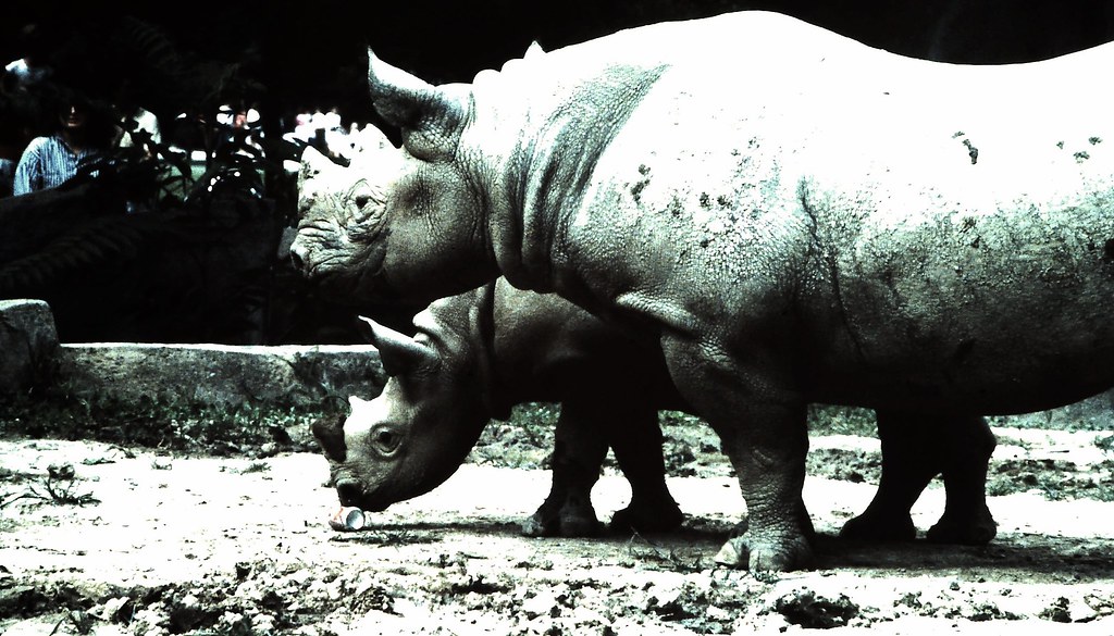 Hmmm, this can smells funny... Brookfield Zoo is a popular… Flickr