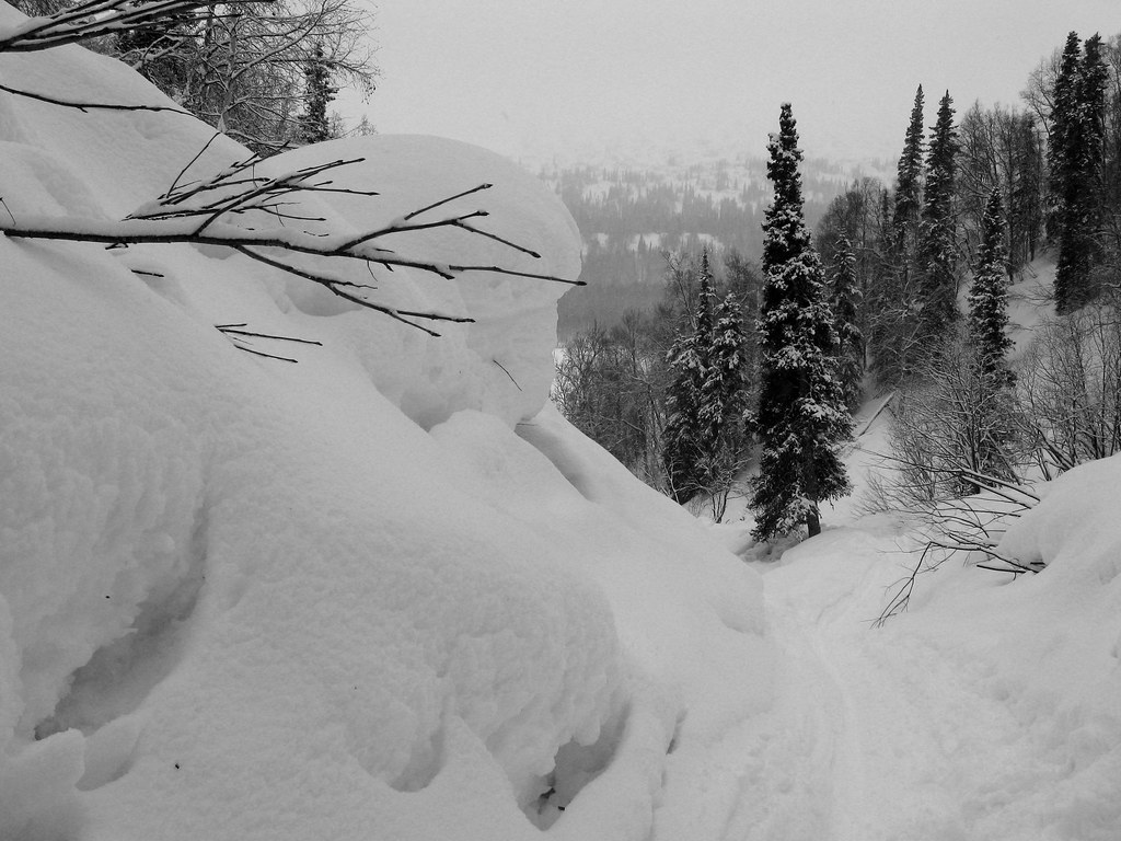 iti1023 Lot's of snow ascending away from the Skwentna Riv… Flickr