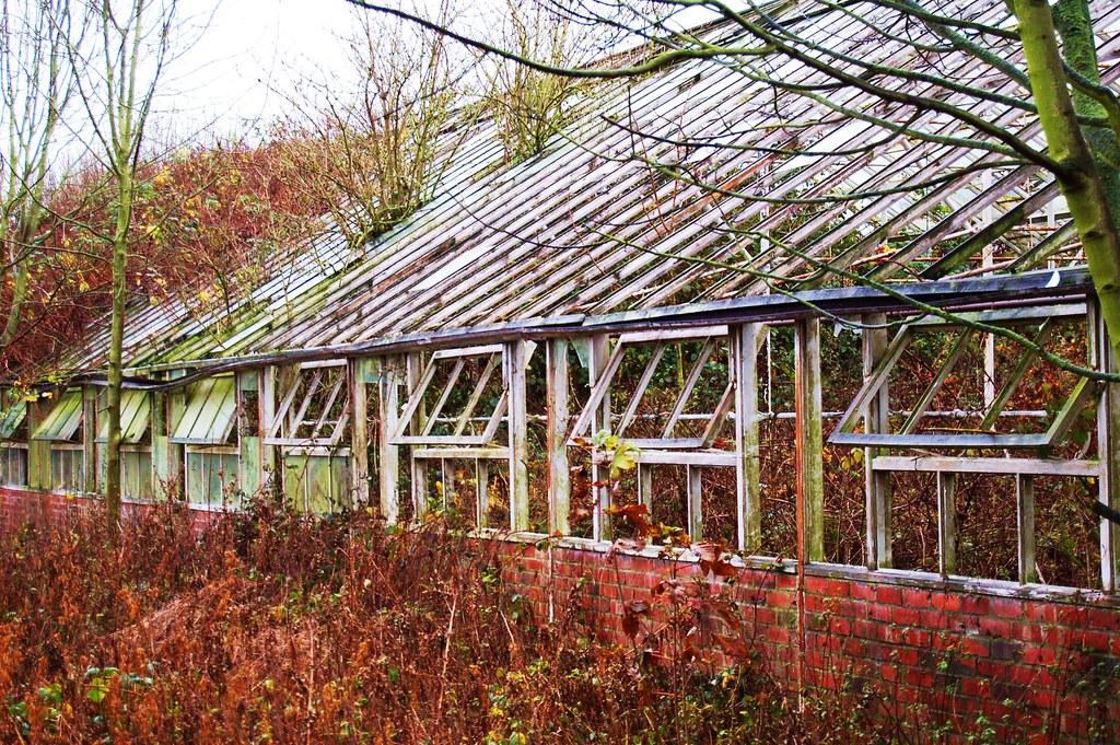 Old Greenhouses, Norton Flickr