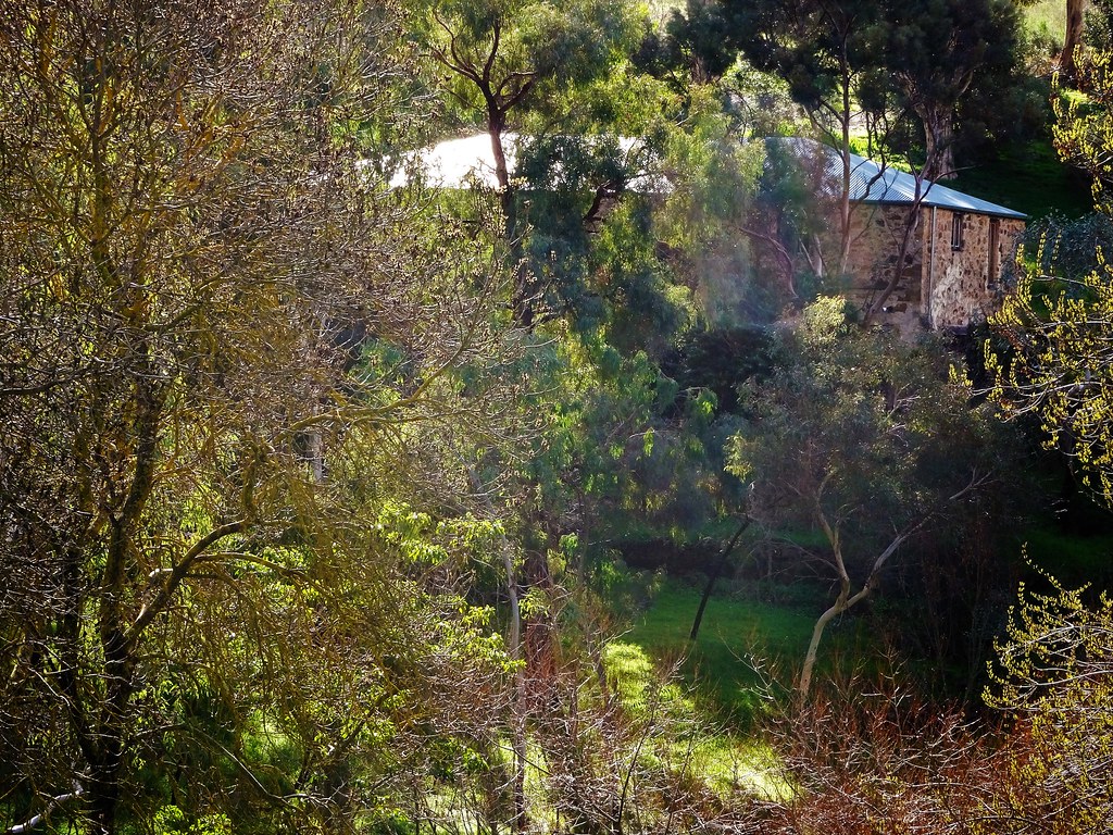 Coromandel Valley. Alexander Murray built this huge stone … Flickr