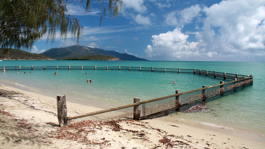 07_dingo beach swim enclosure Allan Henderson Flickr