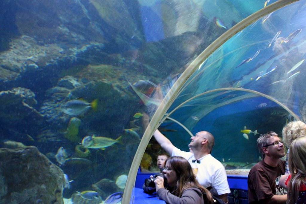 Aquário de Newquay / Newquay Aquarium Newquay é uma cidade… Flickr