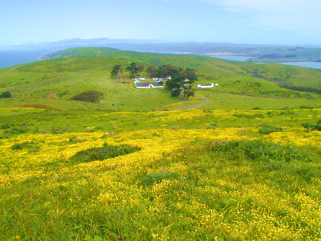 Pierce Ranch Dairy at Point Reyes National Seashore Flickr