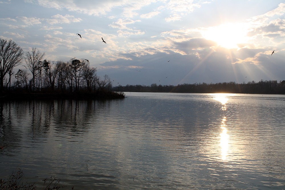 201037 32 Crab Orchard Lake Carterville, IL Mary Rae