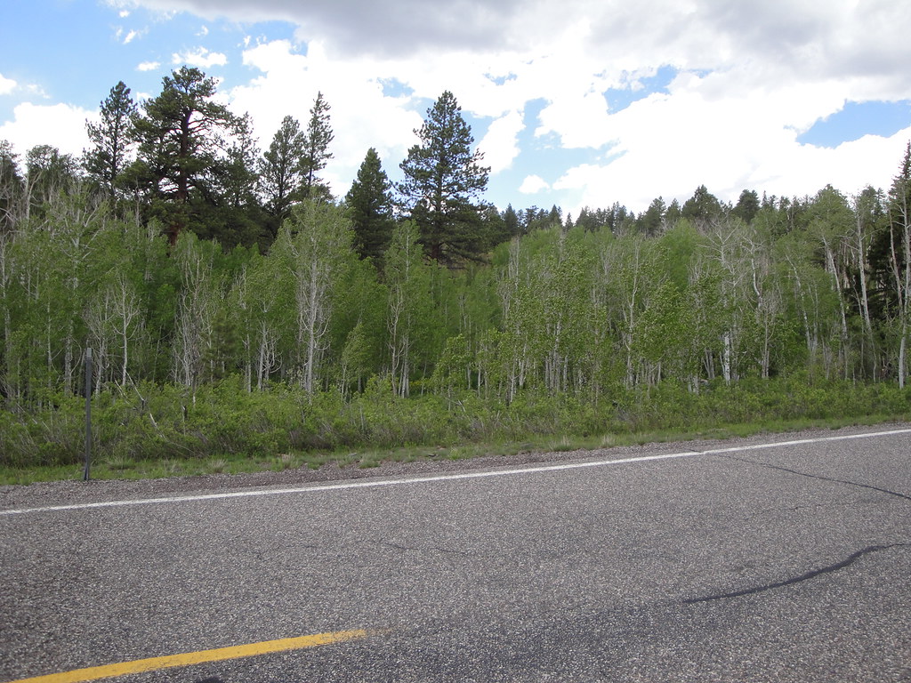 Escalante to Torrey Utah 6/16 keithalbert_99 Flickr