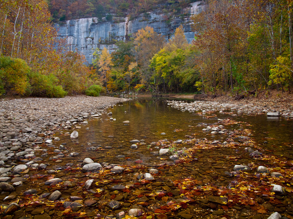 Buffalo River Fall colors along the Buffalo National River… Flickr