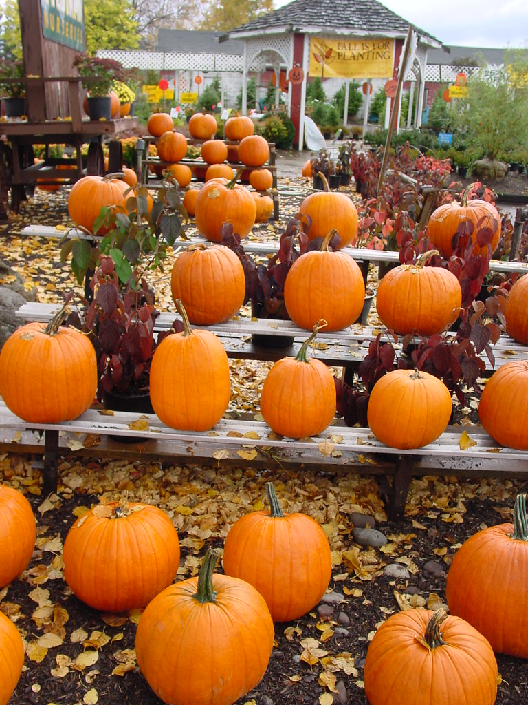 Stedman Nursery Newfane, NY web site Flickr