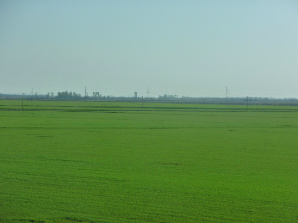 Elevation of Little Prairie Township, MO, USA Topographic Map
