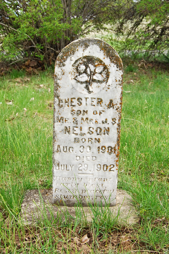 Nelson, Chester Dry Creek Cemetery Flickr