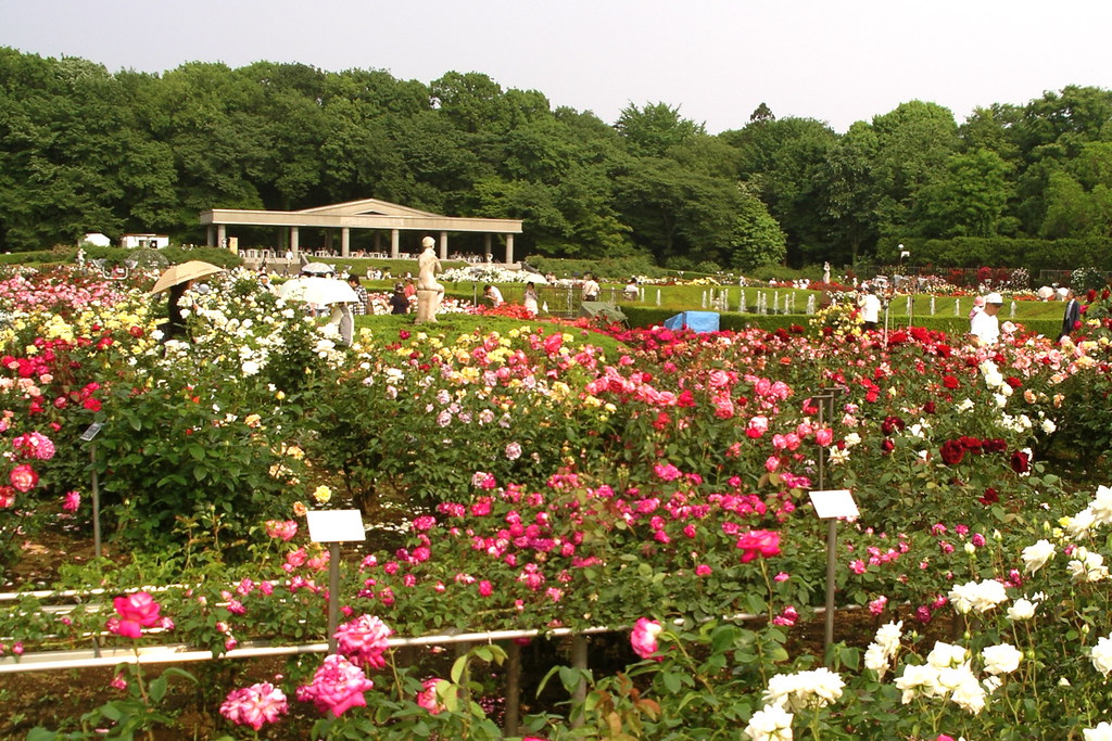 Jindai Shokubutsuen Jindai Botanical Garden, Tokyo. Bloggeâ€¦ Flickr