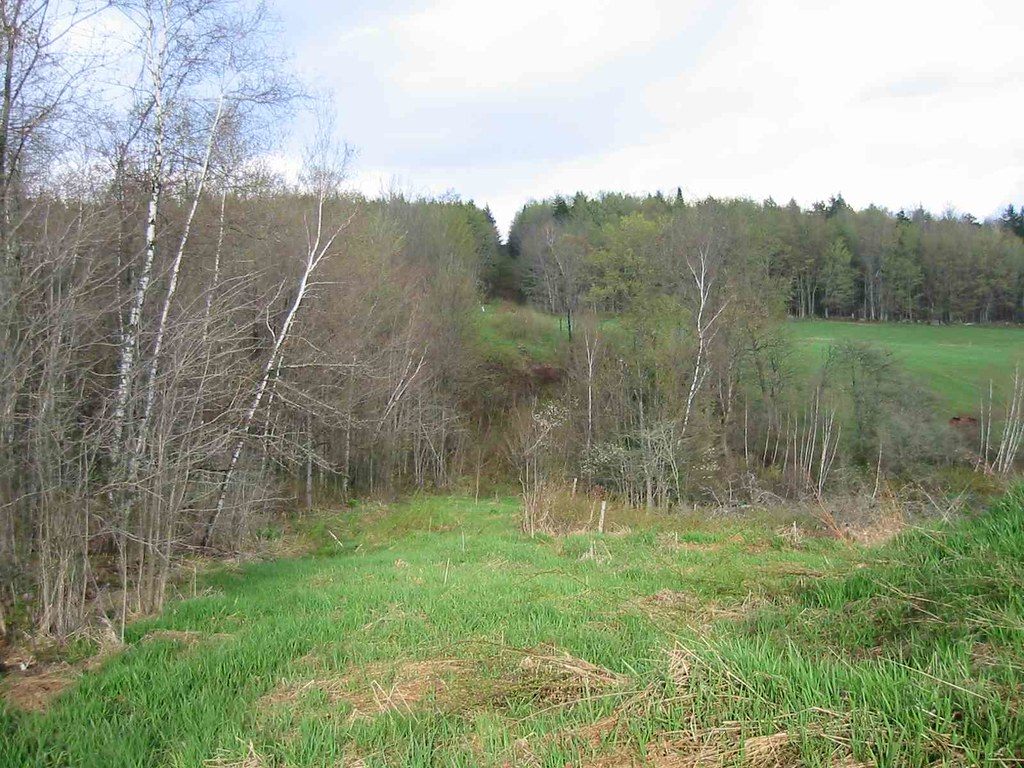Richford Vt Golf Course Rd Boundary Cut East View wbaron Flickr