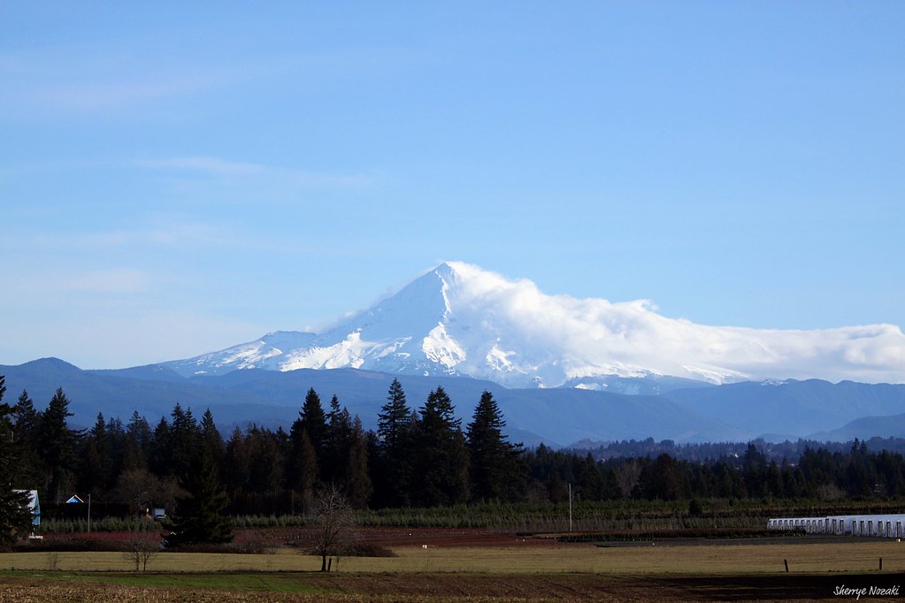 Damascus, Oregon January 18, 2010 Out in the country...Lar… Flickr