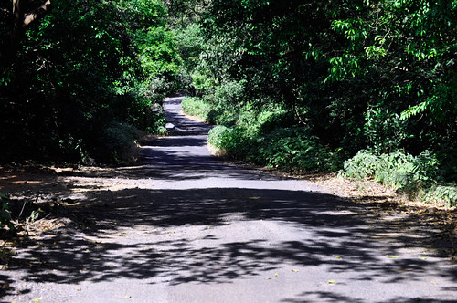 the road we travelled Jerry said that, The road less t… Flickr