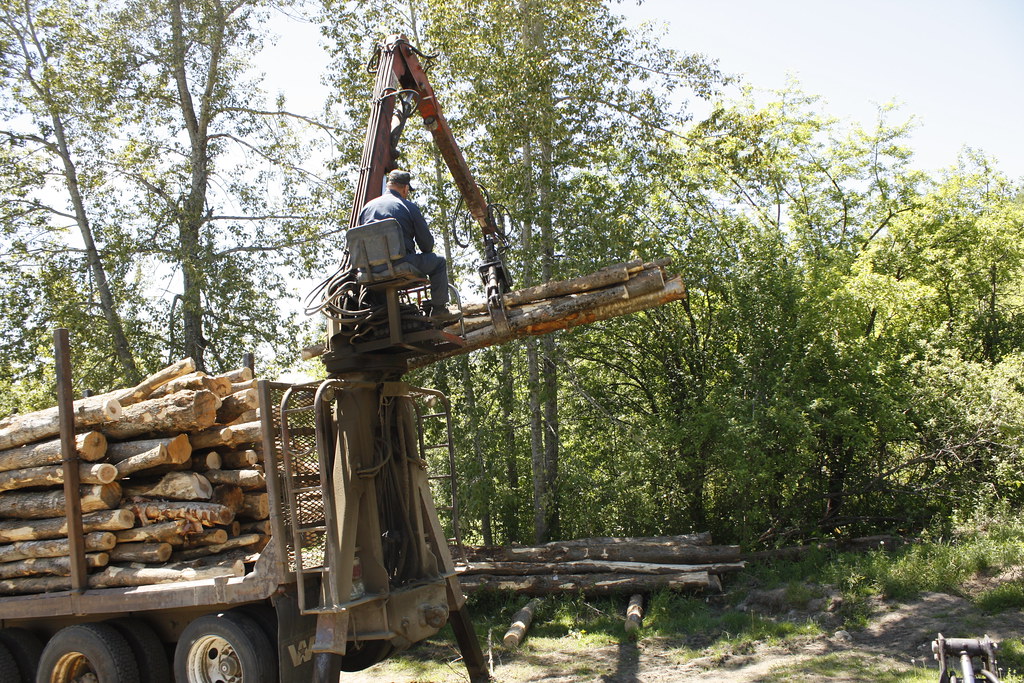 Wood's In (26) We got a truckload of logs for wood this ye… Flickr