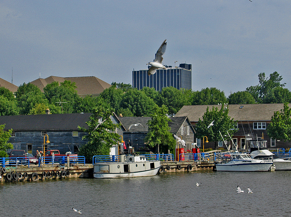 Riverfront wgull and comm fish boat Sheboygan commerical … Flickr