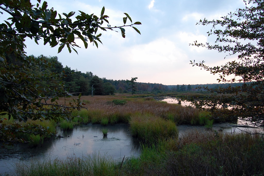 Big Bear Lake, WV Richard Freeman Flickr