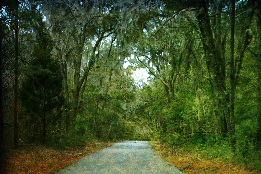 Harris Neck Road Textured Tom Taylor Flickr