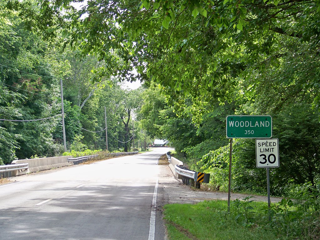 Woodland Illinois Raymond Cunningham Flickr