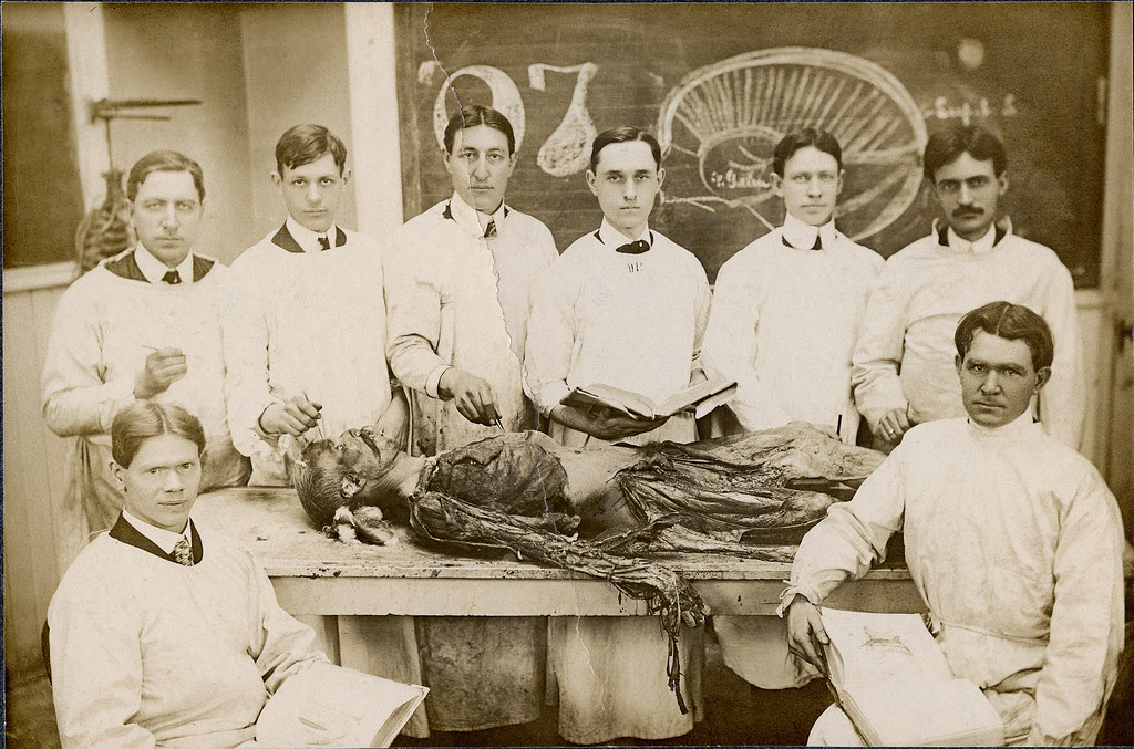 Medical Dissection, Class of '07 Image measures approx. 5"… Flickr