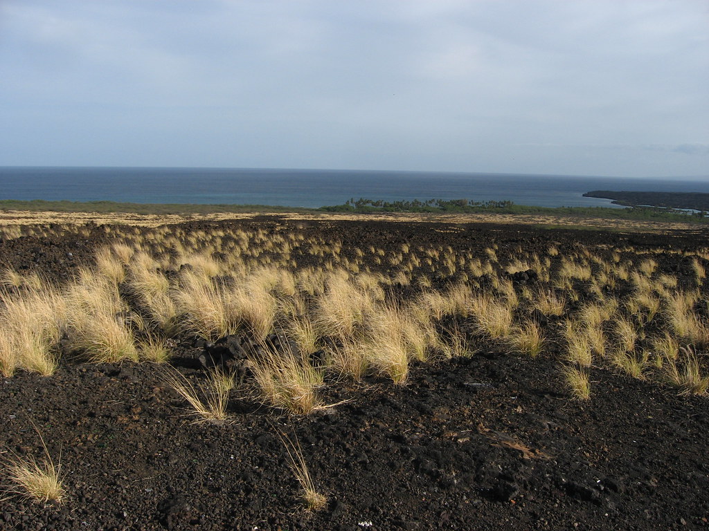 Kohala Coast, State Route 19, Big Island of Hawaii Flickr