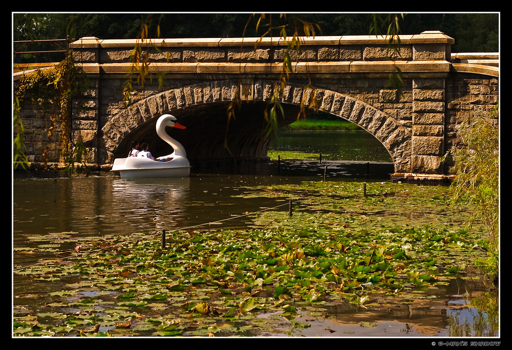 Swan Boat Roger Williams Park Garry Flickr