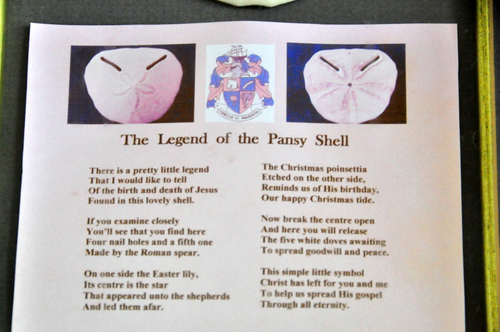 Pansy Shell Story At Bay Hotel, Cape Wild Coast. Robert