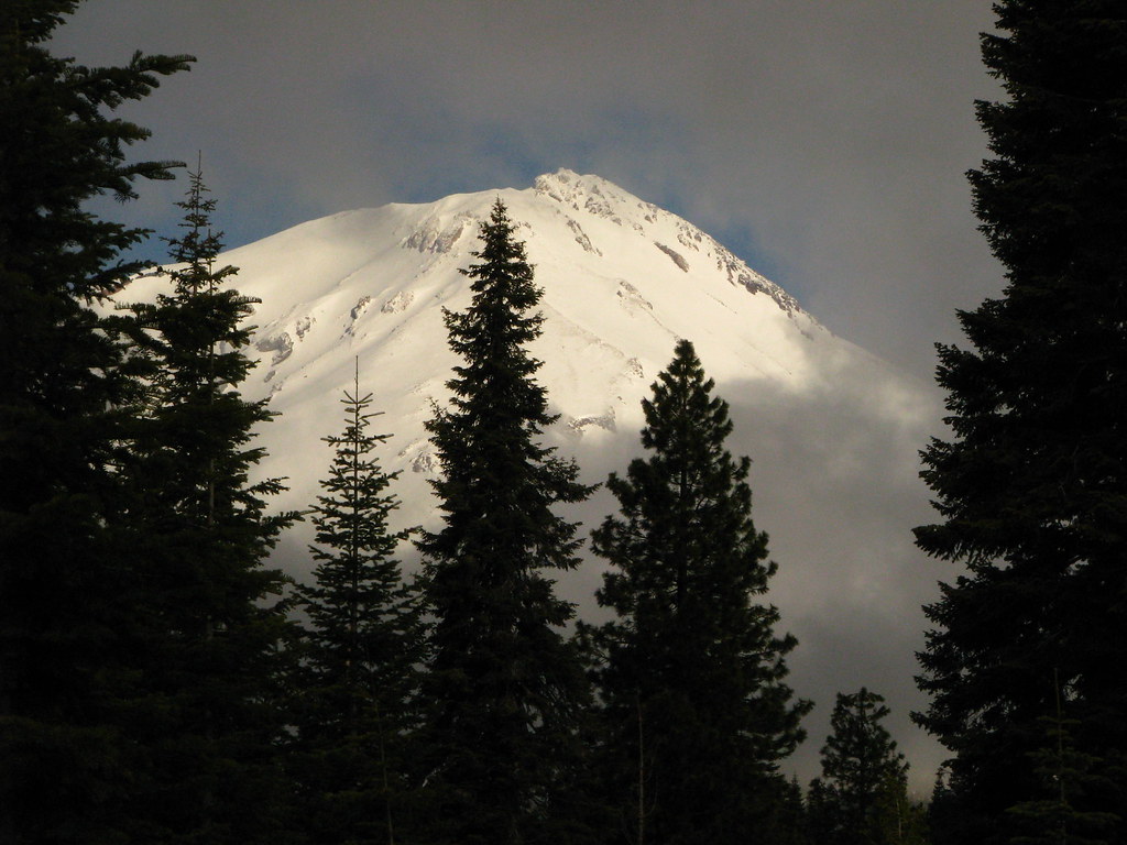 IMG_7170 Mt. Shasta, from Mt. Shasta Forest, McCloud, Cali… Flickr