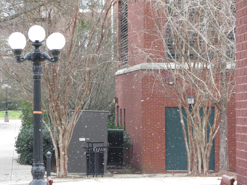 Mississippi Snowfall on January 4th, 2010 This was taken f… Flickr