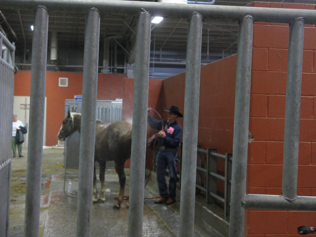 Horse wash rack PA Farm Show (2010) Harrisburg, PA. US Rt 40 Flickr