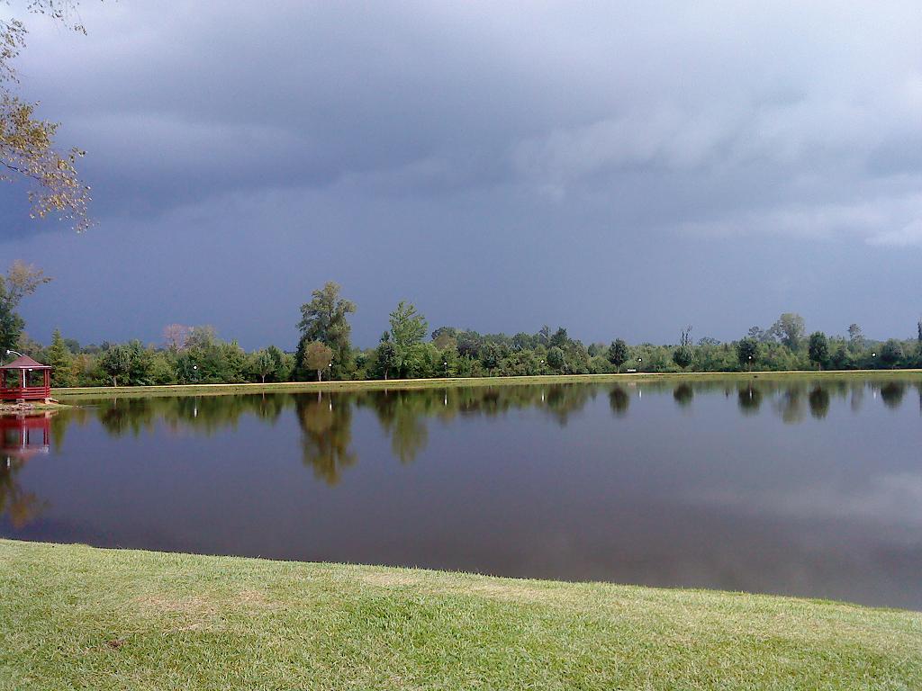 Flickriver Fayette County Alabama pool