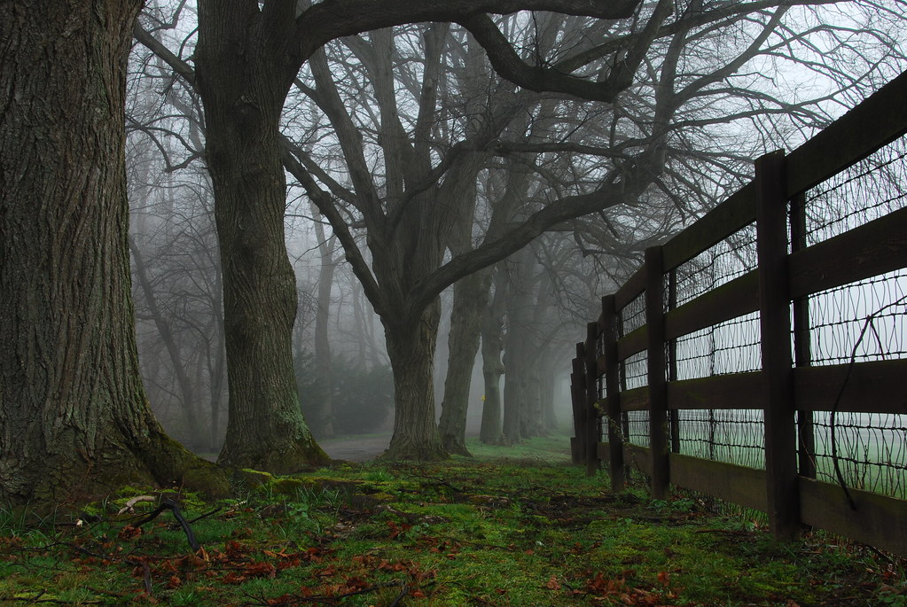 Old Westbury Equestrian Center Foggy morning This photo … Flickr
