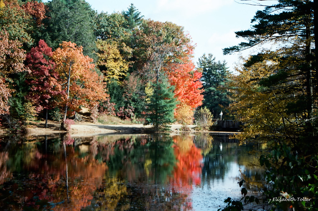 New England 6 The reflections of colors in the ponds of Ne… Flickr