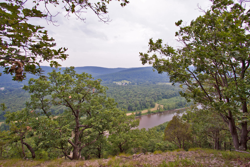 Elevation of Old Ithaca Road, Old Ithaca Rd, Horseheads, NY, USA