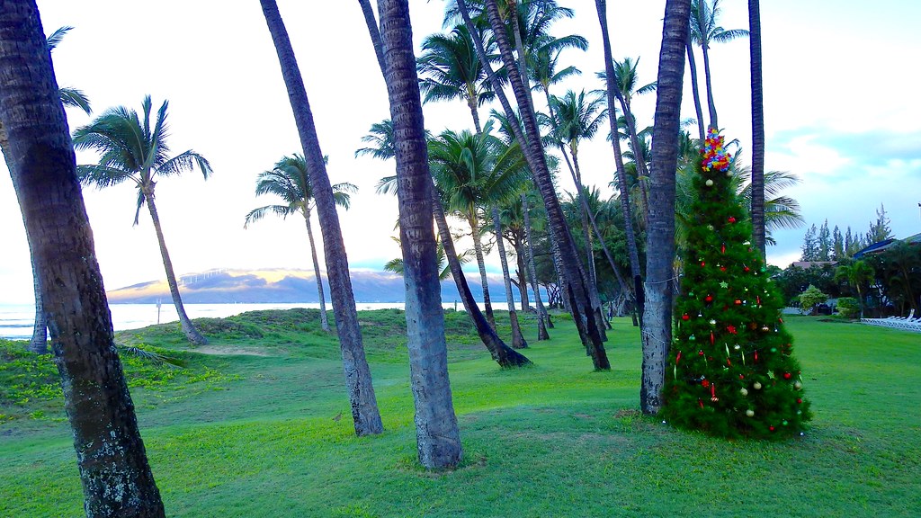 Kihei, Maui at Christmas Hawaii December, 2016 Nikon Coolp… Flickr