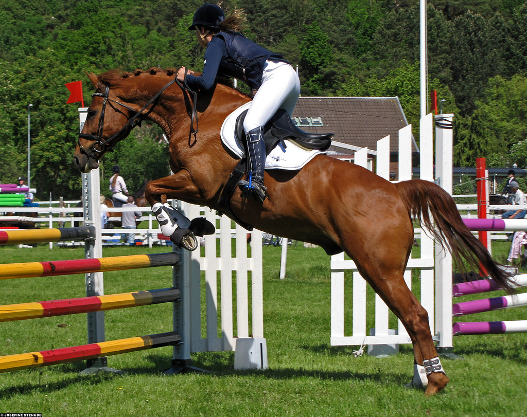 20090531_211_3k Horse jumping at Askims Fältrittklubb, Got… Flickr
