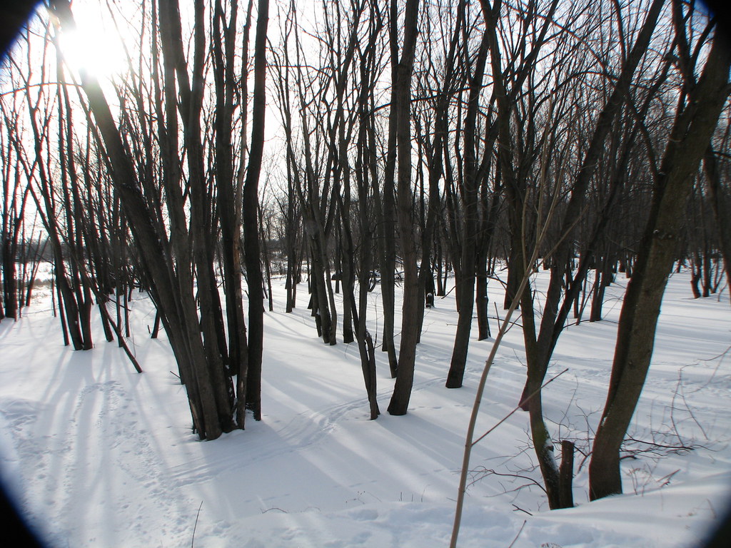 Rosemère, Québec marais Tylee Rosemère le marais Tylee… Flickr
