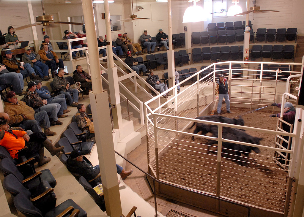 Boonville's Farmer's Livestock Missouri’s 1.2 billion cat… Flickr