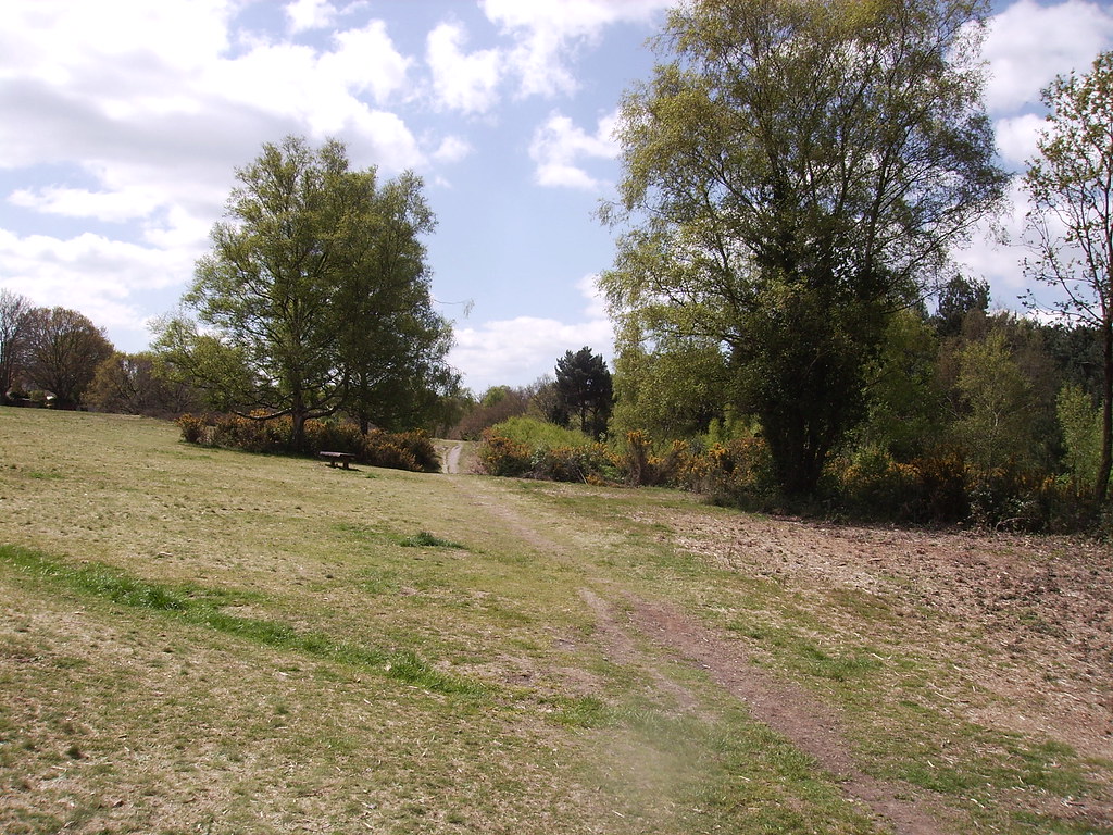 Redhill Common One of the 10 Local Nature Reserves in Bour… Geoff