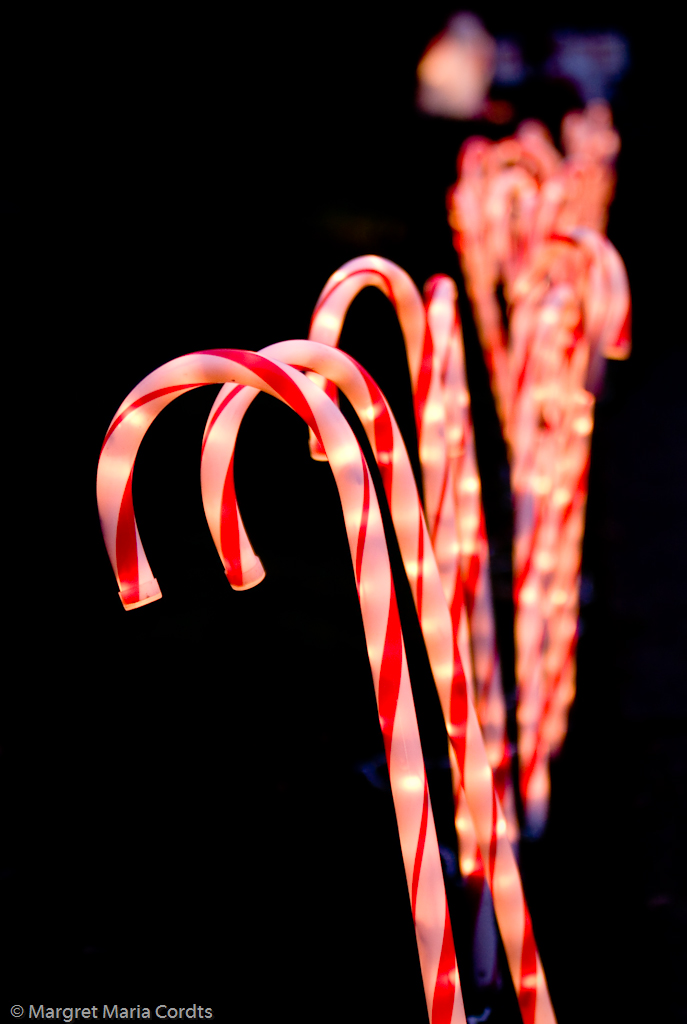 Candy Cane Lane Ravenna Seattle Margret Maria Cordts Flickr