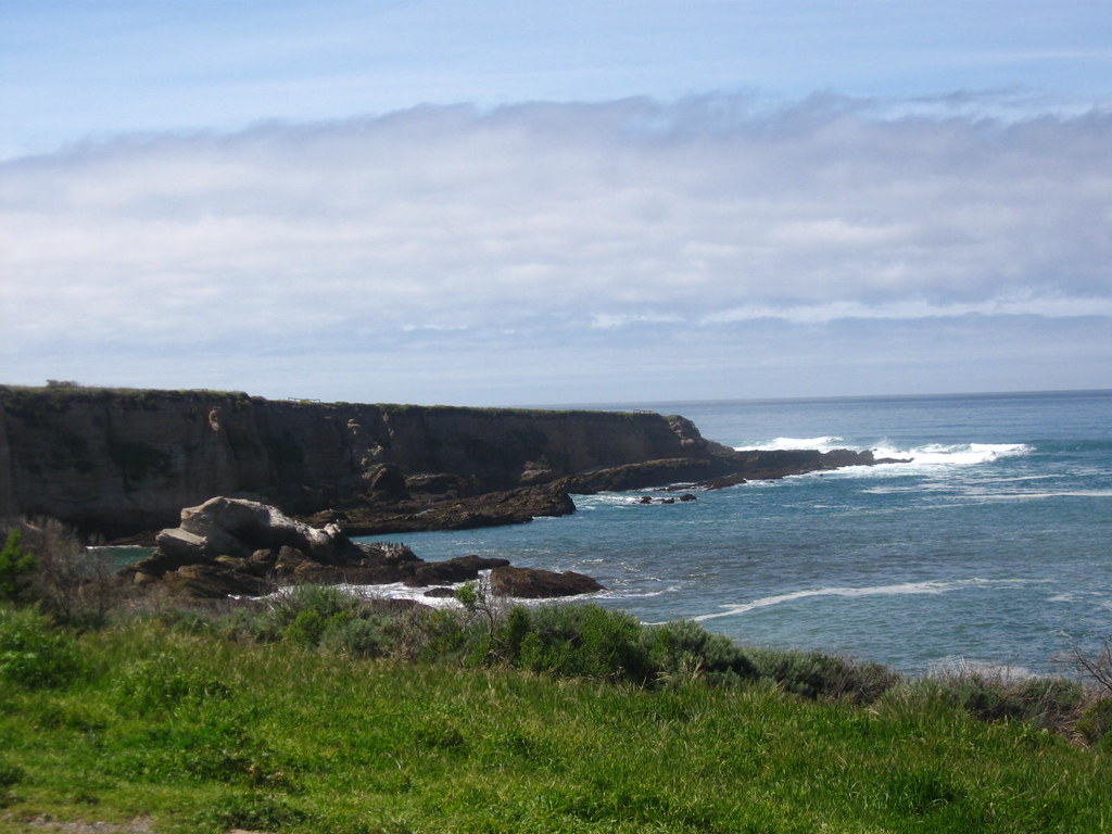 Pismo March 2010 007 Montana de oro Ricky Stromboli2 Flickr