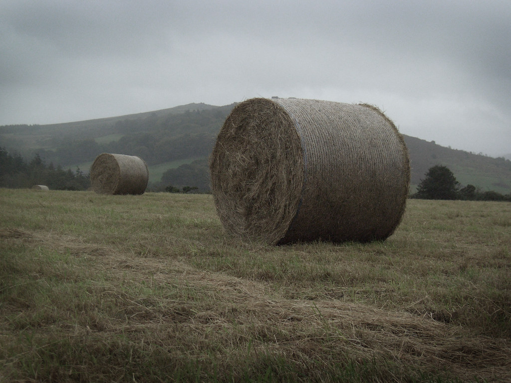 Hay Bales Hay bales on a wet and drizzley Dartmoor, Devon.… Dan Greening Flickr
