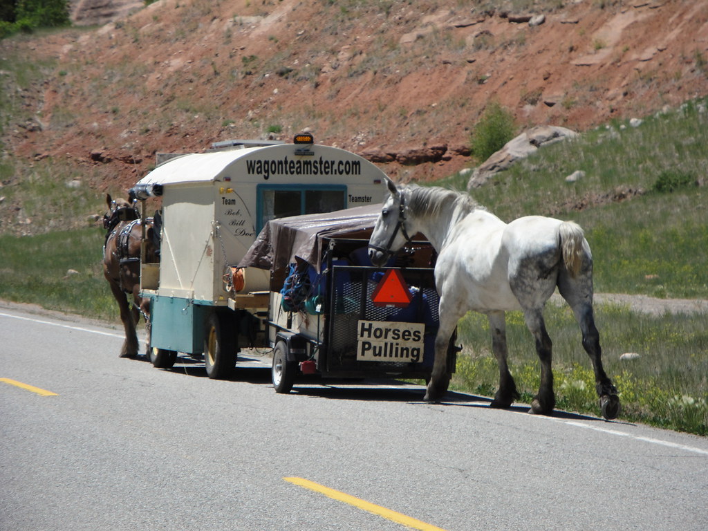 Dove Creek to Rico Colorado 6/20 keithalbert_99