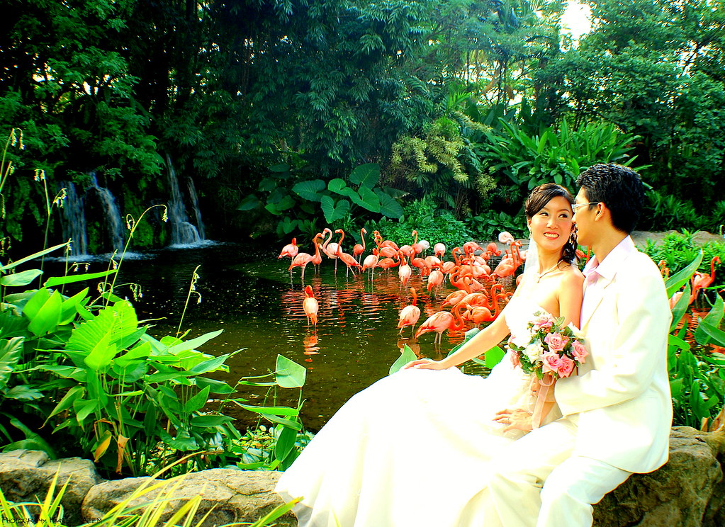 Affordable Wedding Video Recording Choices In Caldecott