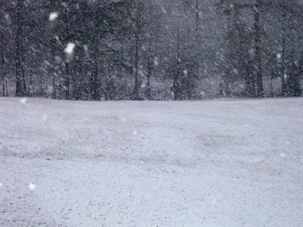 snow picture altoona Just off 278 in blount county on coun