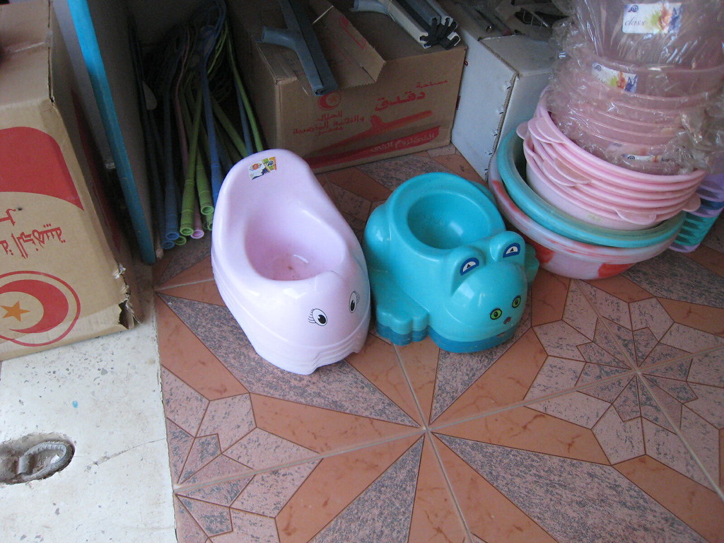 best toilettraining aids EVER Karen Green Flickr