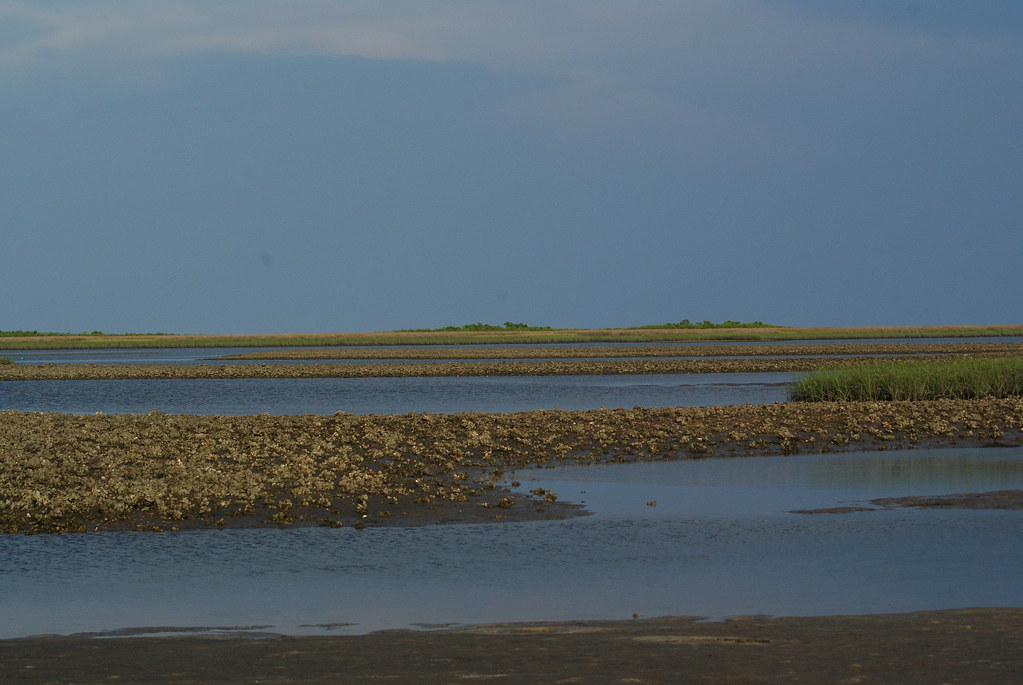 WABE SMNWR 05232010 DSC01477 Wakulla Beach Wakulla Unit… Flickr