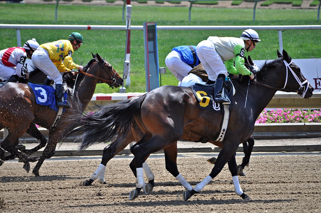 Delaware Park Race1 May 26, 2010 Elaine K. Flickr