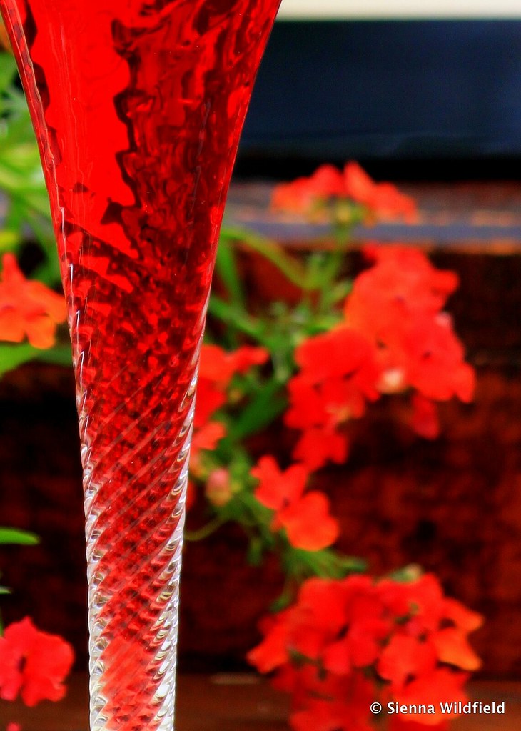 Black currant cordial at the Ashfield Farmers' Market Flickr