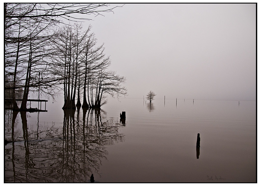 It Is a Bit of a Joke Anacoco Lake, Louisiana, early one m… Flickr