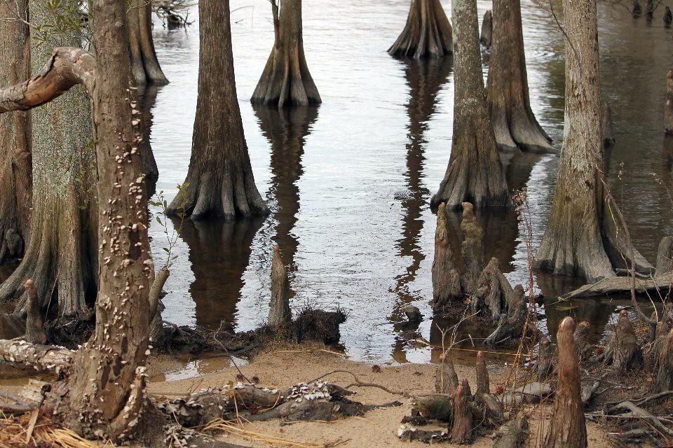 Munden Point Park, Virginia Beach... A 100acre park loca… Flickr